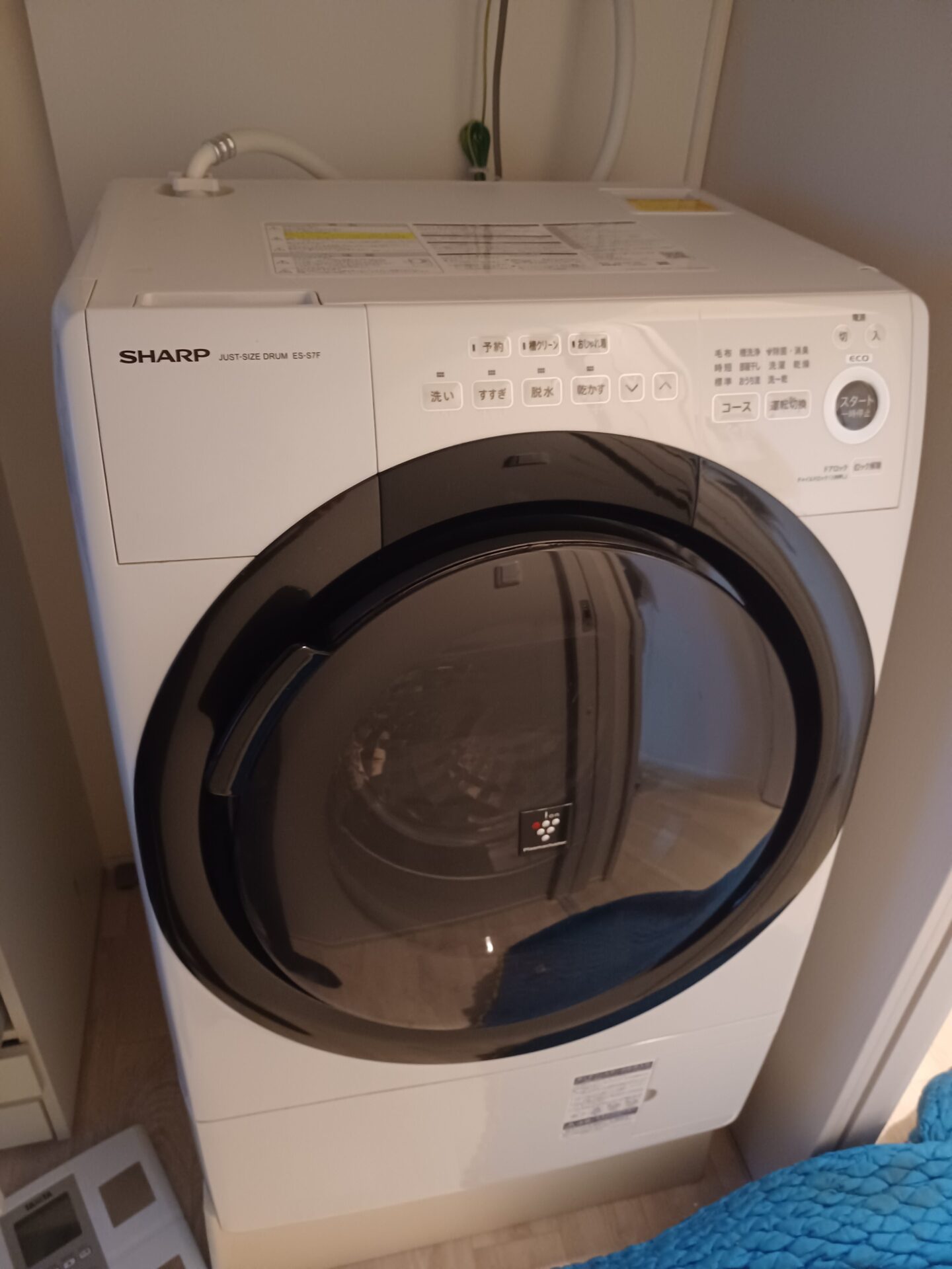 名古屋市瑞穂区 SHARP シャープ ドラム式洗濯機 ES-S7F-WLの買取参考 