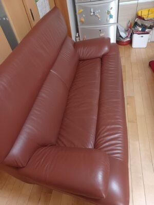 20250216_105435 - REPROZホールディングスライフサポート事業部