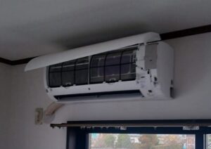 20250303_152728 - マーシャル2