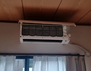 20250303_152736 - マーシャル2