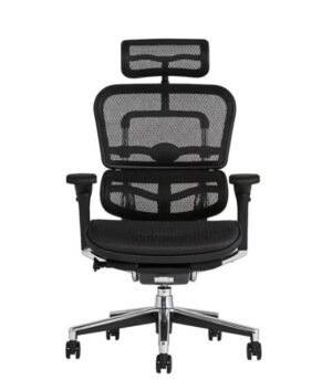 Ergohuman Basic High